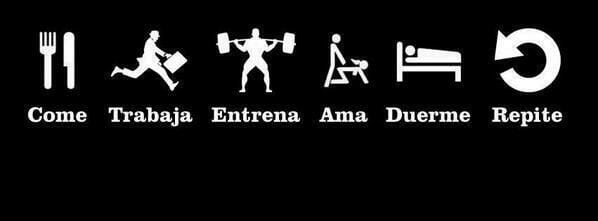 disciplina